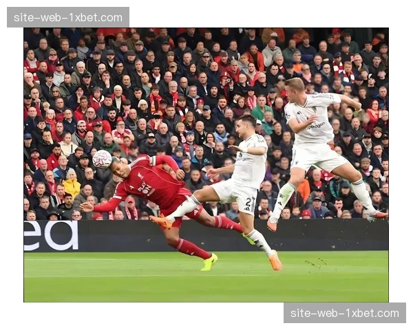 加克波利物浦锋线支点身价7500万 荷兰进攻体系关键角色